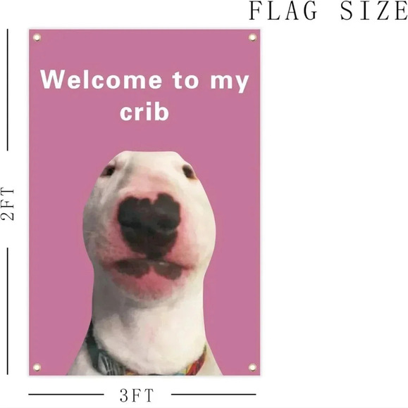 Welcome to My Crib Funny Flag 2x3Ft Wall Flag with 4 Brass Grommets for Party Ya - Picture 3 of 4